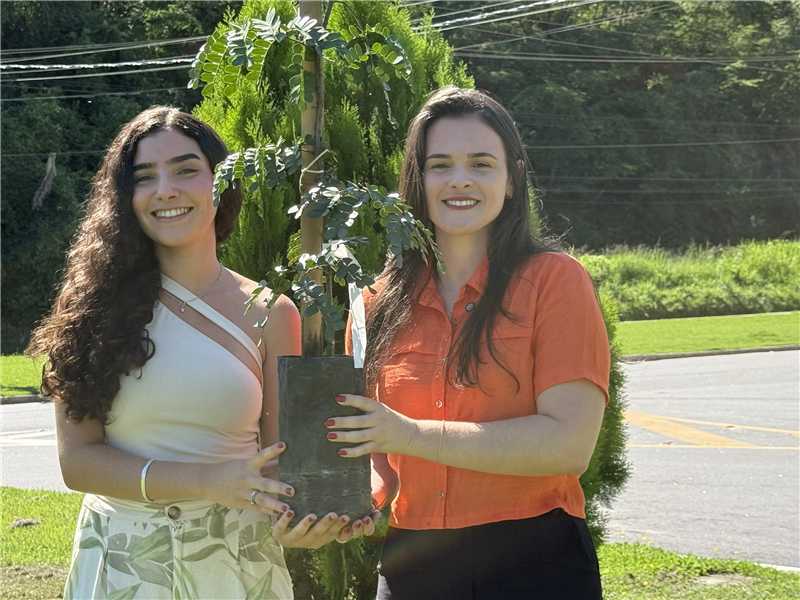 Leia mais sobre o artigo Prefeitura lança projeto para arborizar a cidade com apoio dos moradores