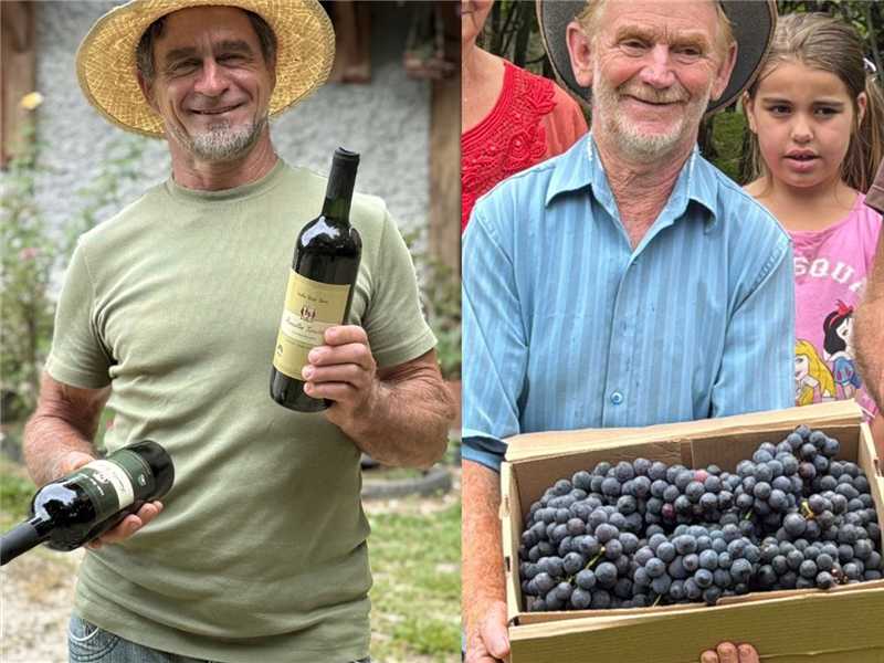 Leia mais sobre o artigo Tradição e força da produção de uva é exibida no Alfredo Rural