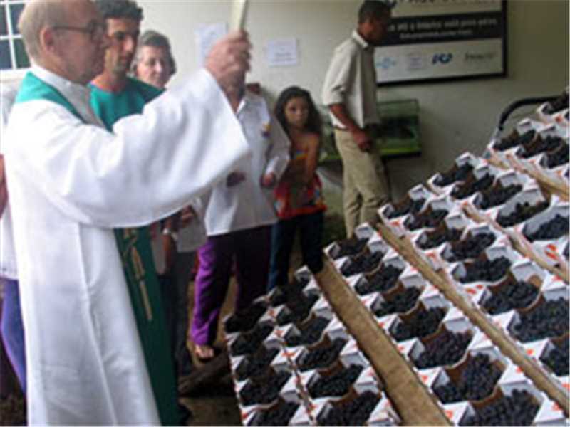 Leia mais sobre o artigo Benção das uvas segue tradição no Festival da fruta em Alfredo Chaves