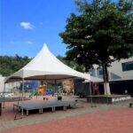 Forrozão do Curta promete dois dias de música e tradição em Alfredo Chaves