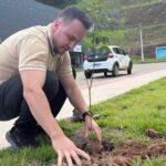 Projeto Arborizar avança e amplia plantio de árvores na sede de Alfredo Chaves
