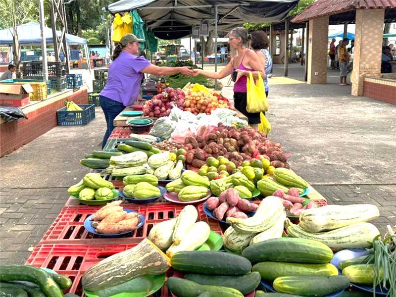 Leia mais sobre o artigo Novo Tiquete Feira já está disponível para servidores municipais
