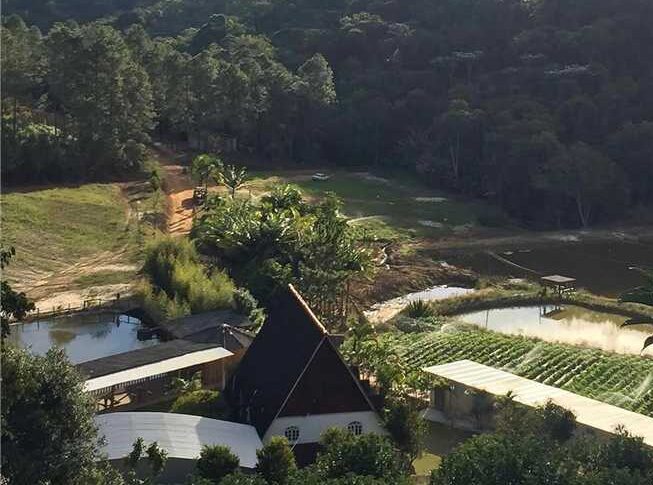 Leia mais sobre o artigo São Bento de Urânia realiza a 2ª Festa do Milho neste domingo, 05