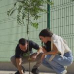 Bairro Cajá ganha 10 novas árvores