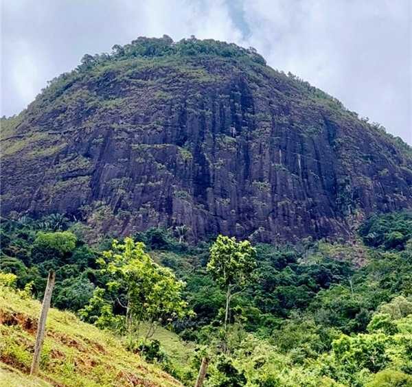 Leia mais sobre o artigo Caminhada Ecológica rumo à Pedra do Gururu acontece no dia 19 de julho